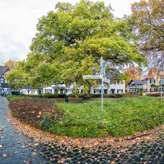 Aufmacher Gartensiedlung Gronauerwald © Till Erdmenger – Businessfotos, Bergisch Gladbach